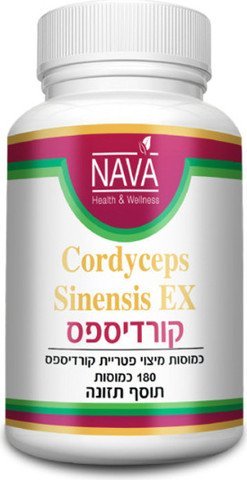 فطر كورديسيبس سينينسيس Cordyceps Sinensis