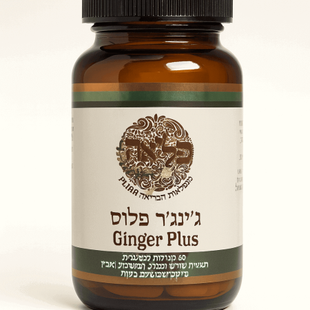 ملبس جنجر بلس الزنجبيل (Ginger Plus) بنكهة الفراولة،في تخفيف غثيان الحمل والوحام بشكل طبيعي وللطاقة للنشاط